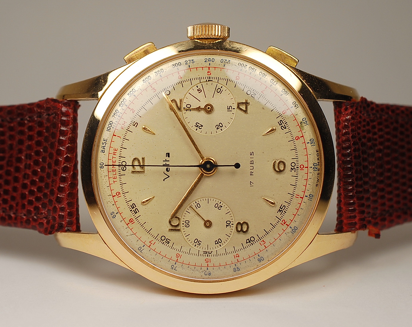 Wintex 17 rubis best sale oro